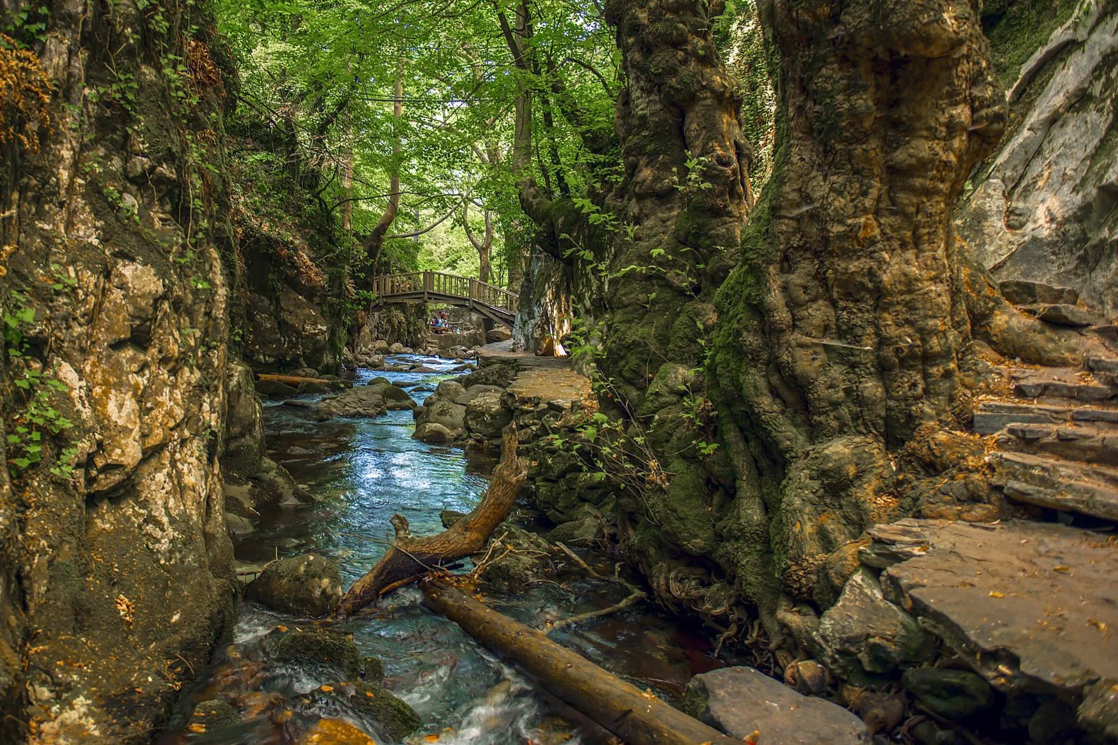 Kazdağları ve Çevre Güzellikleri - BAYRAMİÇ KAZDAĞI AYAZMA BRC_8516